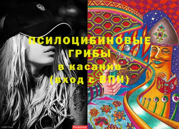 молекула духа Заволжск