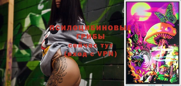 молекула духа Заволжск