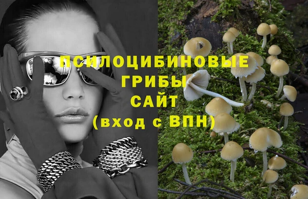 таблы Заводоуковск